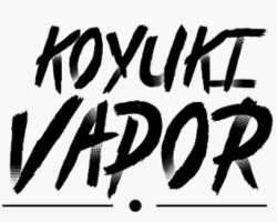 Koyuki Chronicles 100ml Shortfill - ECIGONE