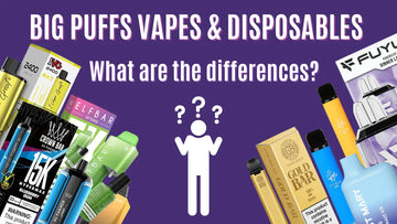 big puff vapes to the left & disposable vapes to the right with a figure between questioning what are the differences