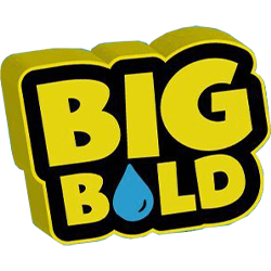 Big Bold Fruity ICE 100ml Shortfill - ECIGONE