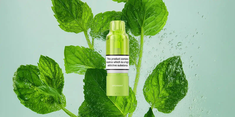 Why Buy Elf Bar Plus 50 from Ecigone