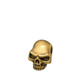 Ecigone