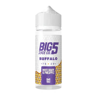 Big 5 Vape Juice Fruit Series 100ml Shortfill