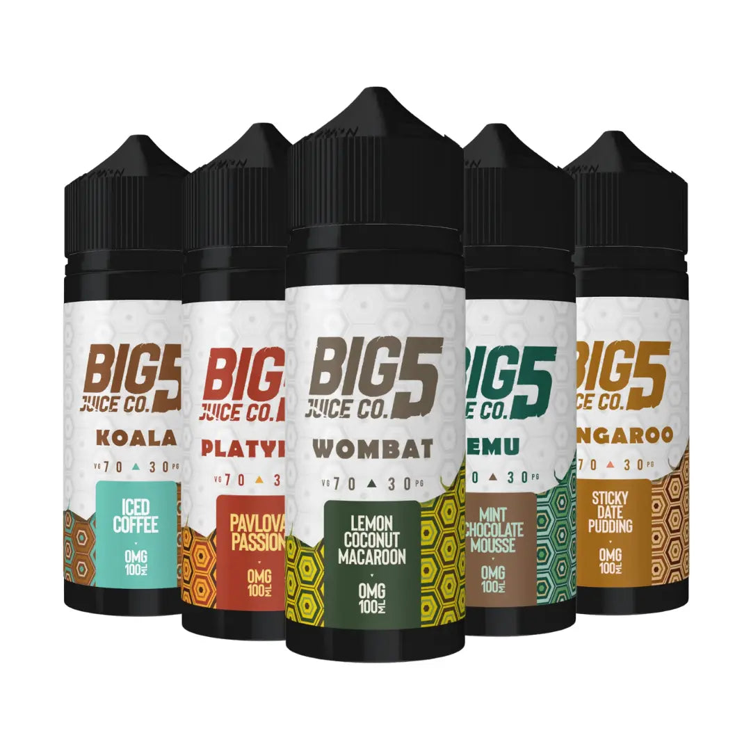 Five bottles of Big 5 Vape Juice Co. Creamy Series 100ml shortfill e-liquid. Each bottle features a black cap and distinct label colours corresponding to different dessert-inspired flavours