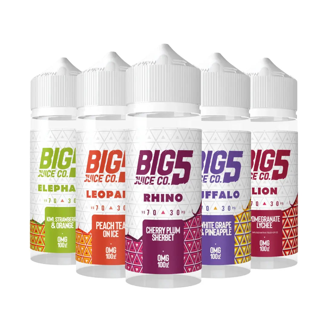 A lineup of five Big 5 Vape Juice Co. Fruit Series 100ml shortfill e-liquid bottles. Each bottle has a white cap and label with distinct colour accents: green for "ELEPHANT" Kiwi Strawberry & Orange, orange for "LEOPARD" Peach Tea on Ice, purple for "RHINO" Cherry Plum Sherbet, blue for "BUFFALO" White Grape & Pineapple, and red for "LION" Pomegranate Lychee. The bottles feature the "Big 5 Juice Co." branding and a 70VG/30PG ratio.