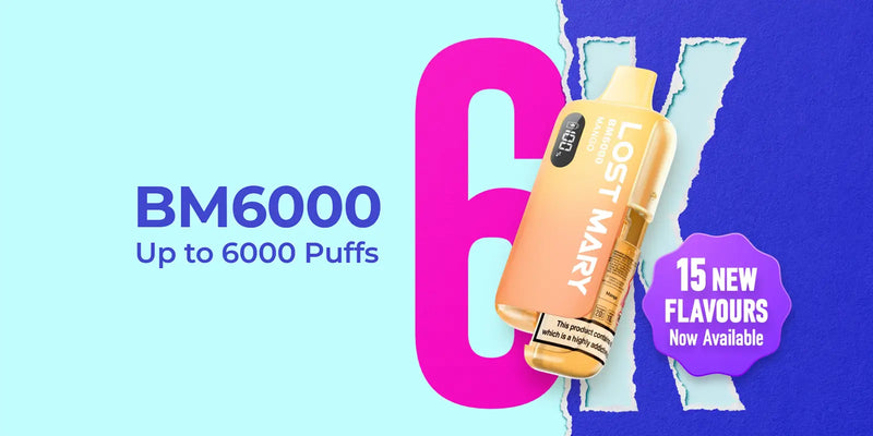 About Lost Mary BM6000 Refill Pods