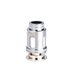 Two silver mesh replacement vape coils on a white background.